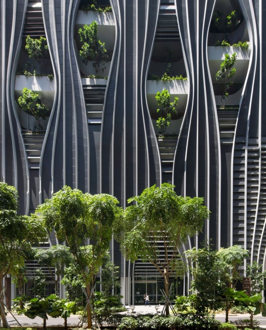 SỰ TỤ DO TRONG THIẾT KẾ ĐƯỢC PHÁT TRIỂN THẾ NÀO TRONG QUY ĐỊNH NGHIÊM NGẶT CỦA SINGAPORE
